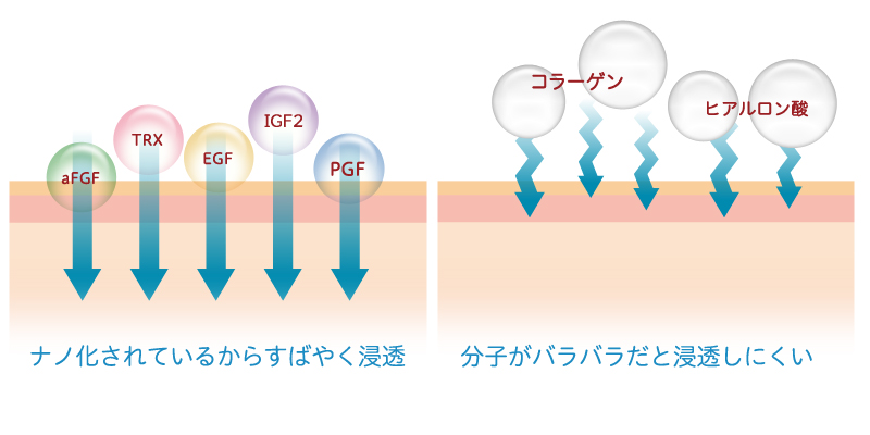 ナノ化レシチンでお肌への吸収力を高めます