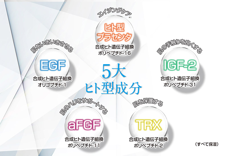 5大ヒト型ペプチド成分配合