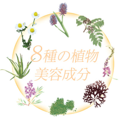 【デルミサ】スキンフェイドローションV