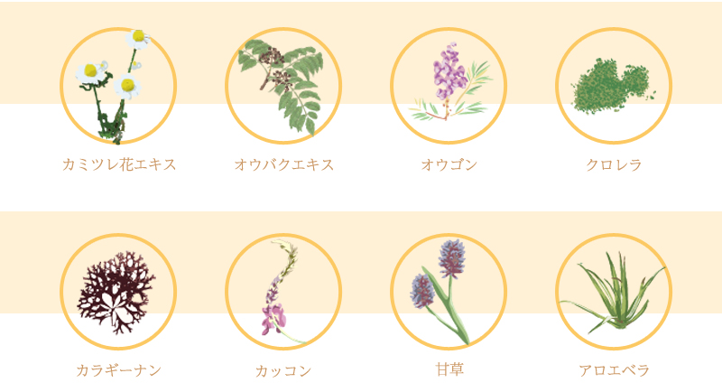 ８種の植物美容成分でお肌に潤いとハリを