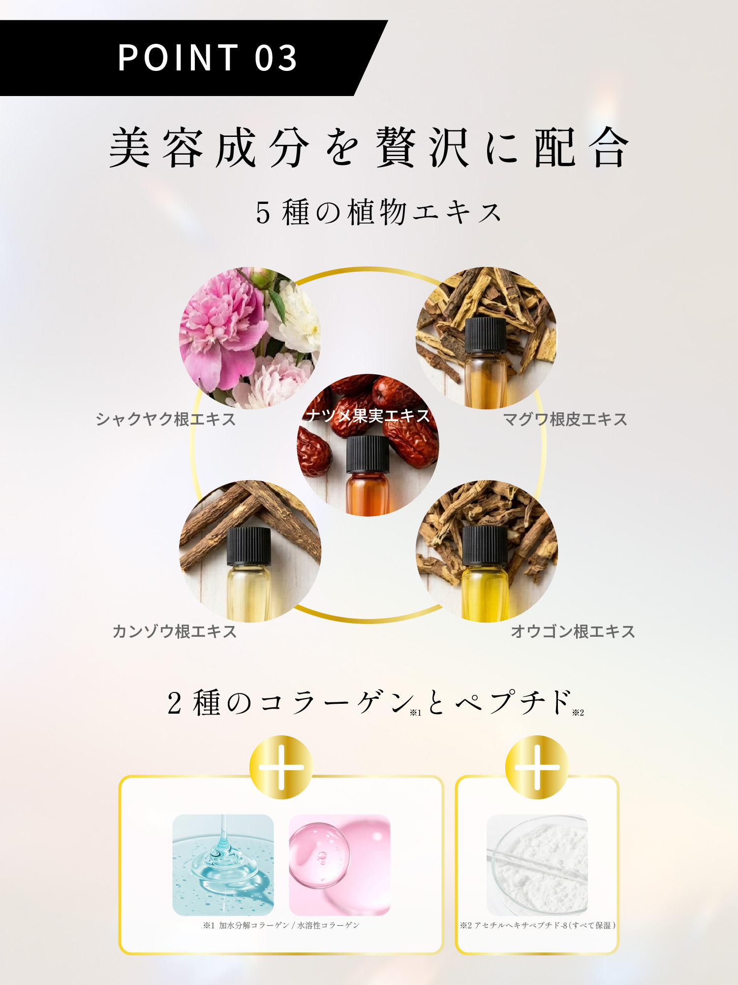 5種類の植物エキスと2種のコラーゲンで美容成分たっぷり配合